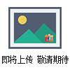 SWP-LED交流/直流電工表